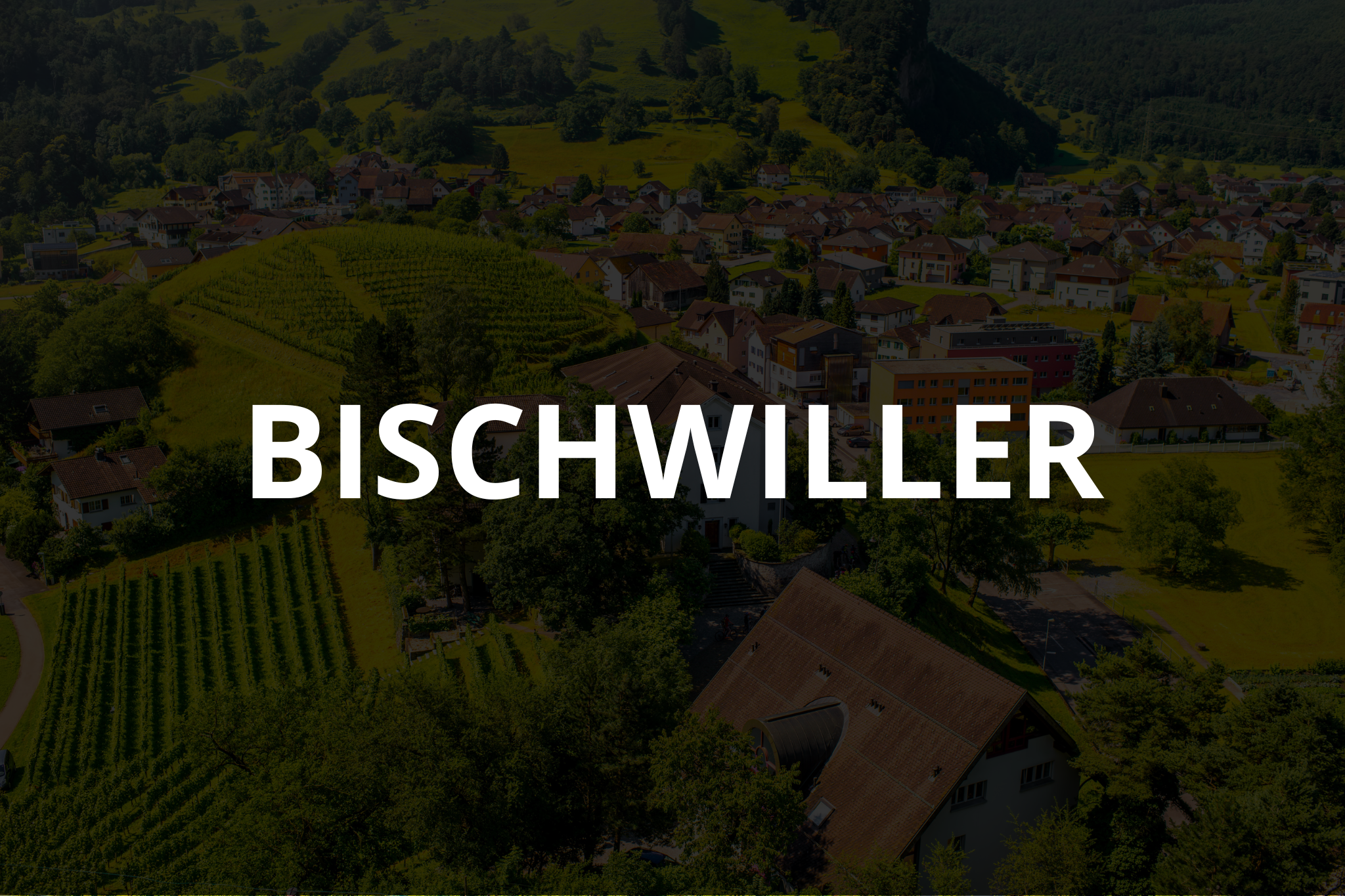 ville-bischwiller